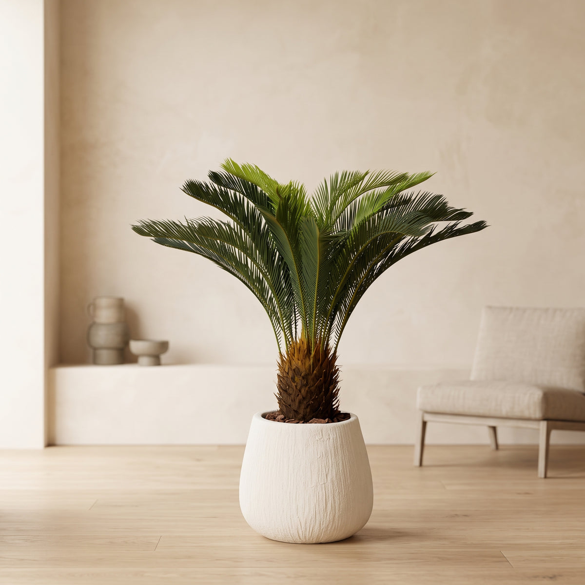 Minimalist White Planter with Sago Palm - Green Haven