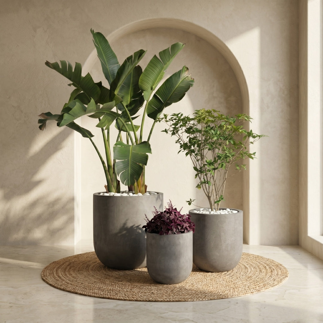 Grand Planters