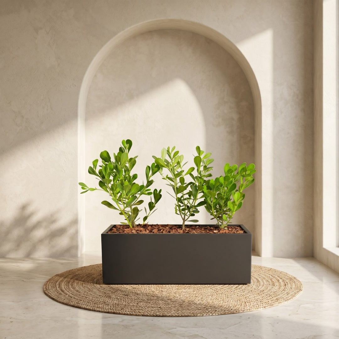 Charcoal Trough Planter – Green Haven