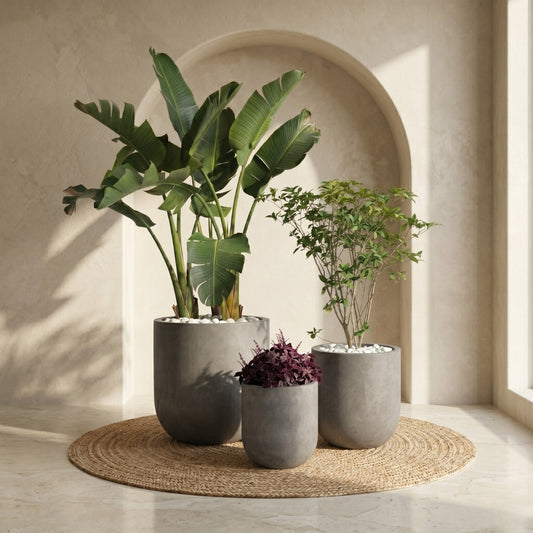 Monolithic Grey Set – Green Haven