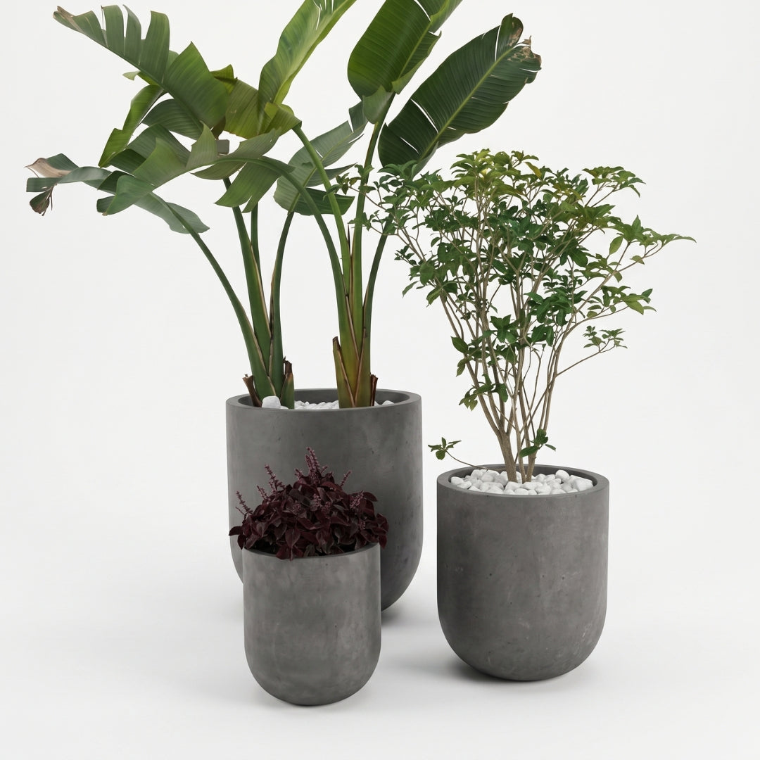 Monolithic Grey Set – Green Haven