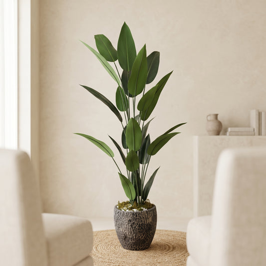 Organic Modern Broadleaf Botanical - Green Haven