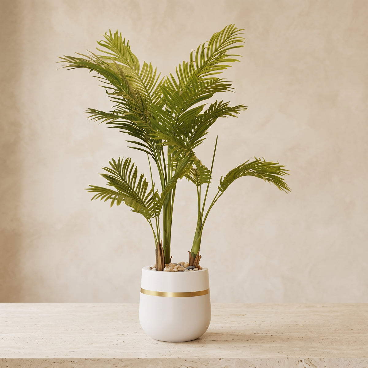 Mini Tropical Palm in Elegant White Pot - Green Haven