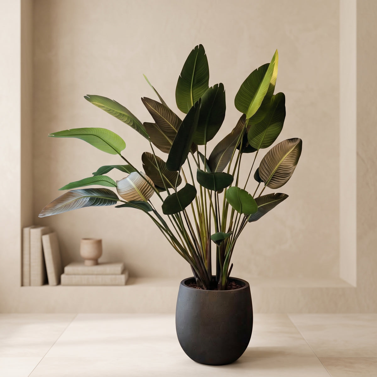Tropical Bird of Paradise in Dark Rounded Planter - Green Haven