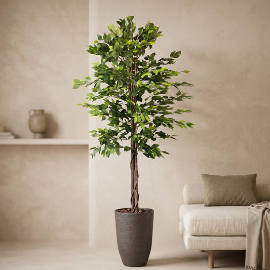 Faux Braided Ficus Tree in Charcoal Planter - Green Haven