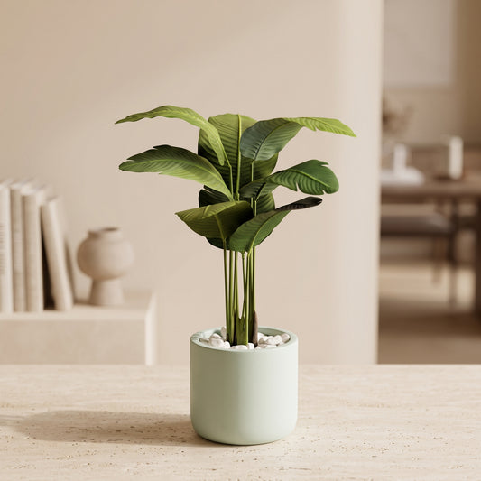 Mini Tropical Plant - Green Haven